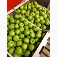 Яблоки свежие оптом из садов Краснодарского края