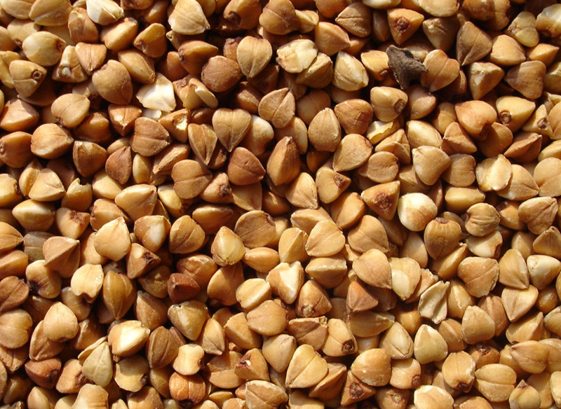 Фото 5. Купим муку пшеничную и ржаную