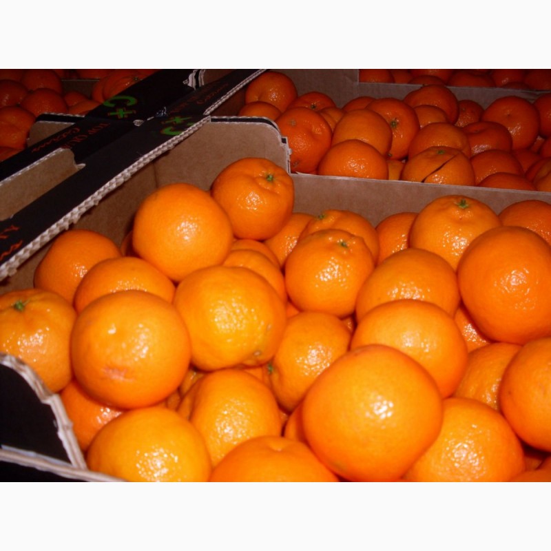 Фото 2. Мандарины, апельсины, яблоки, с доставкой по городам России и в Республики Средней Азии