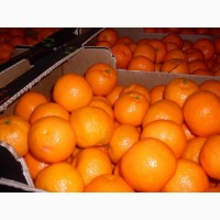 Мандарины, апельсины, яблоки, с доставкой по городам России и в Республики Средней Азии
