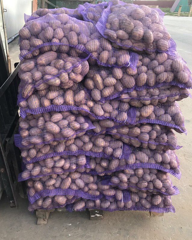 Фото 3. Продажа картофеля. Оптом от 20 тонн