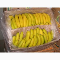 Бананы оптом