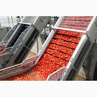 Продажа томатной пасты оптом в бочках, высокого качества