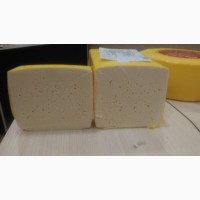 Сыр, в ассортименте, от производителя