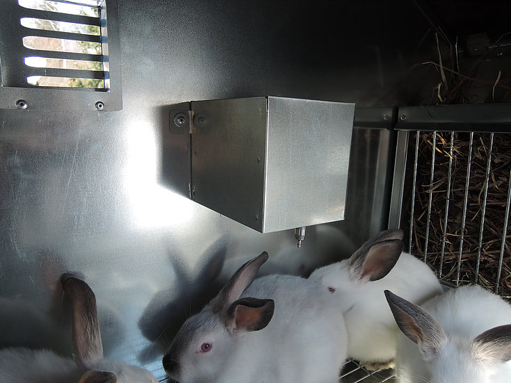 Фото 5. Утеплённые крольчатники с маточником