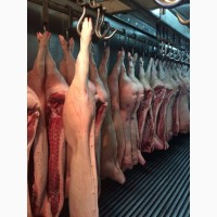 Мясо свинина опт в полутушах 1-2 категории