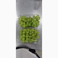 Grapes from India