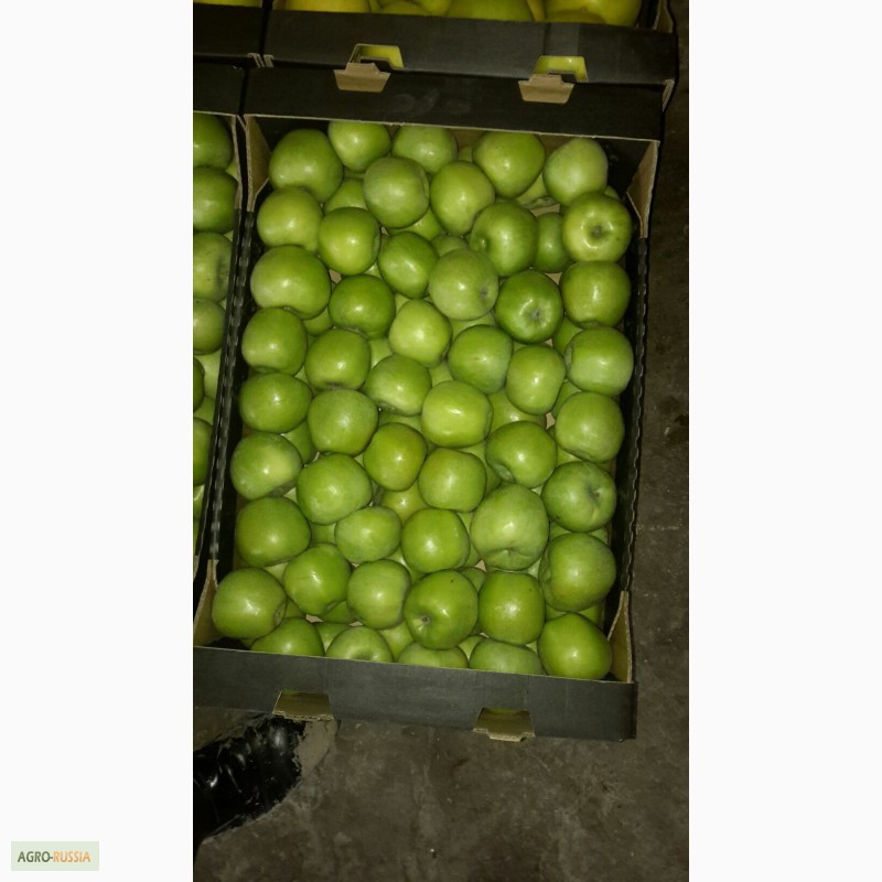Яблоки из Молдавии Симиренко