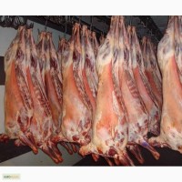 Реализуем мясо баранина (Охлажденка/заморозка)