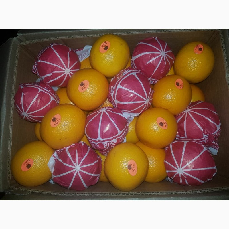 Фото 10. Продам апельсины из Египта
