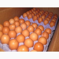 Яйцо оптом от производителя без посредников со склада в Москве