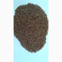 Семена льна масличного очищенные (99, 99%)