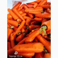Морковь мытая 2сорт лом
