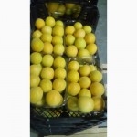 Персики, Абрикосы, Нектарины из Турции