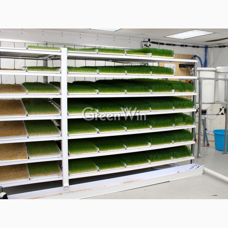Установка для выращивания ГЗК (гидропонного зеленого корма) “Заря”