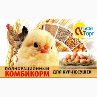 Комбикорм полнорационный ПК-1-2- для КУР несушек(40-60недель)
