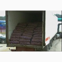 Картофель прод. с доставкой по Красноярску 16, 5 руб/кг