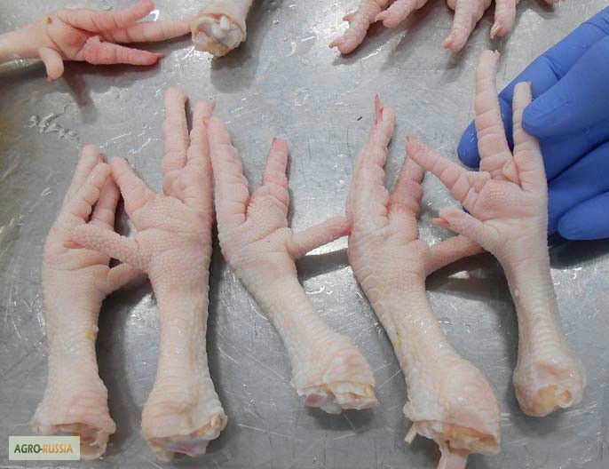 Фото 2. Куриные лапки категории A от производителя по низким ценам