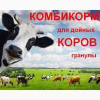 Комбикорм для дойных коров КК-60/1