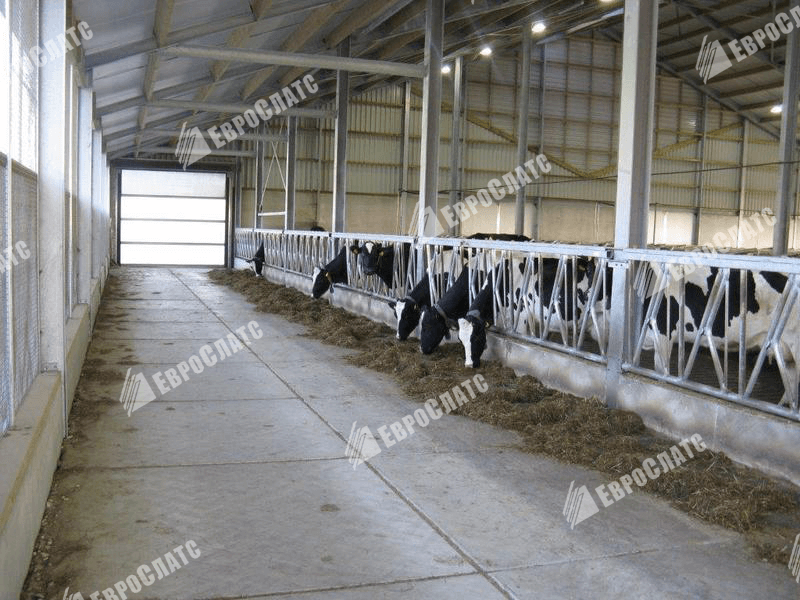 Фото 6. Бетонные плиты для молочного животноводства и растениеводства