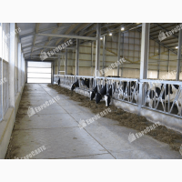 Бетонные плиты для молочного животноводства и растениеводства