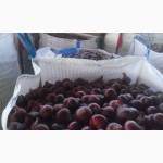 Оптовые поставки свежих овощей и фруктов из Египта