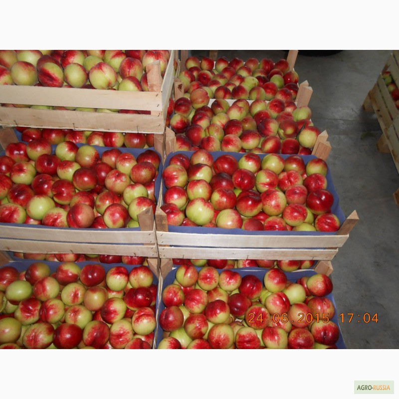 Фото 6. Продаю фрукты и овощи из Сербии