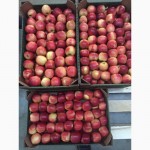 Реализуем яблоки с Краснодарских садов
