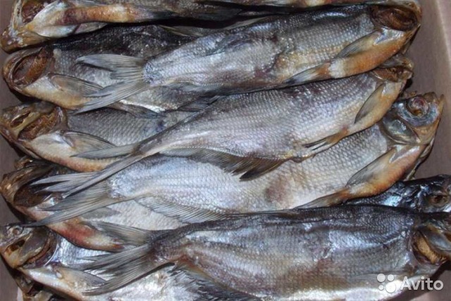 Фото 2. Продам живых астраханских раков, волжской рыбы, солений и маринада