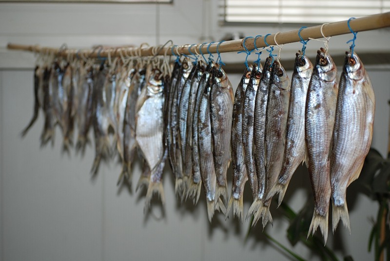 Фото 3. Продам живых астраханских раков, волжской рыбы, солений и маринада