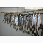 Продам живых астраханских раков, волжской рыбы, солений и маринада