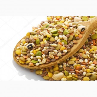 ООО НПП «Зарайские семена» на постоянной основе закупает зернобобовые смеси