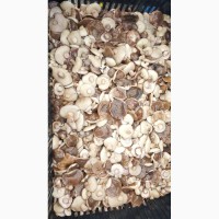 Продам грибы маслята солено-отварные