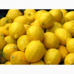 Лимоны Египет