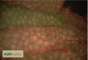 Картофель оптом от производителя в Волгограде и Волжском