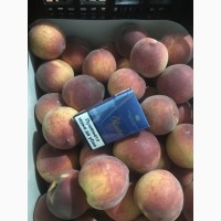 Персики 55-65 оптом на прямую от производителя