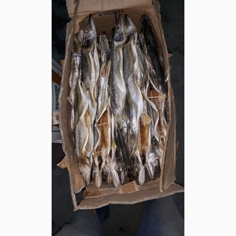 Фото 2. Продажа вяленой рыбы от производителя