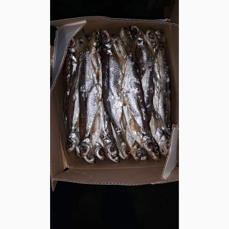 Фото 4. Продажа вяленой рыбы от производителя