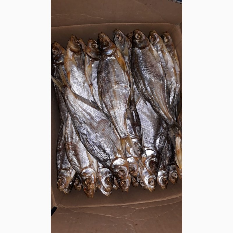 Фото 6. Продажа вяленой рыбы от производителя