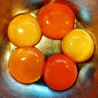 Натуральный каратиноид- добавка для окраса яичного желтка и тушек с/х птицы