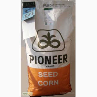 Семена кукурузы ПИОНЕР (PIONEER)