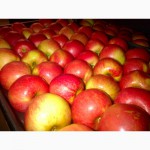 Продам яблоки из Китая