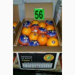 Продам апельсин