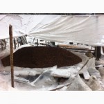 Продам кедровый орех, урожай 2016 годам отборную кедровую шишку.томская обл, село Базой