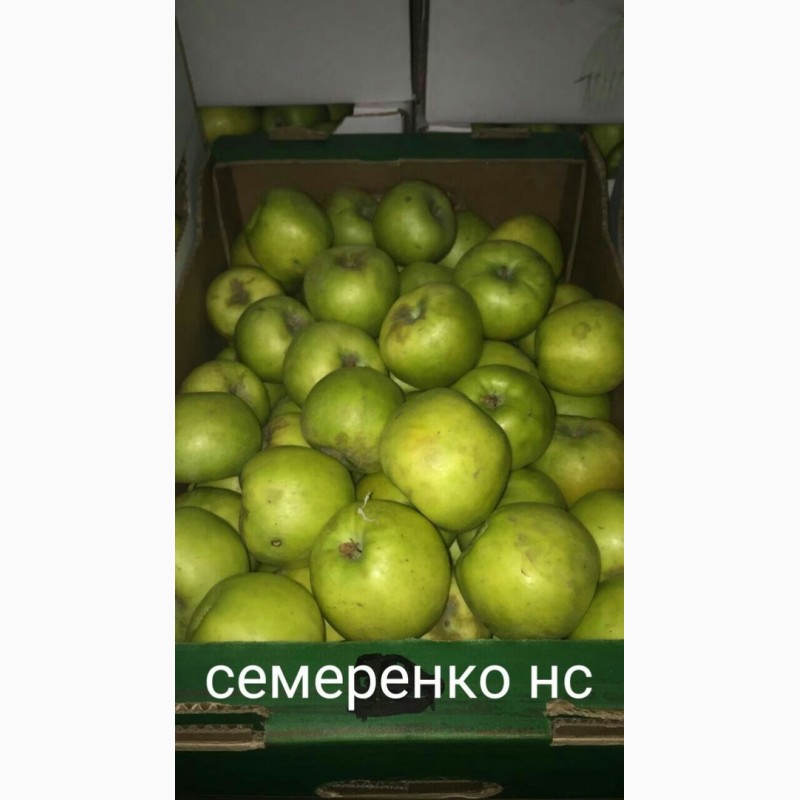 Фото 2. Продам яблоко разных сортов, Батайск