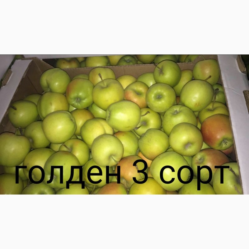 Фото 3. Продам яблоко разных сортов, Батайск