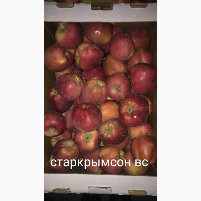 Фото 4. Продам яблоко разных сортов, Батайск