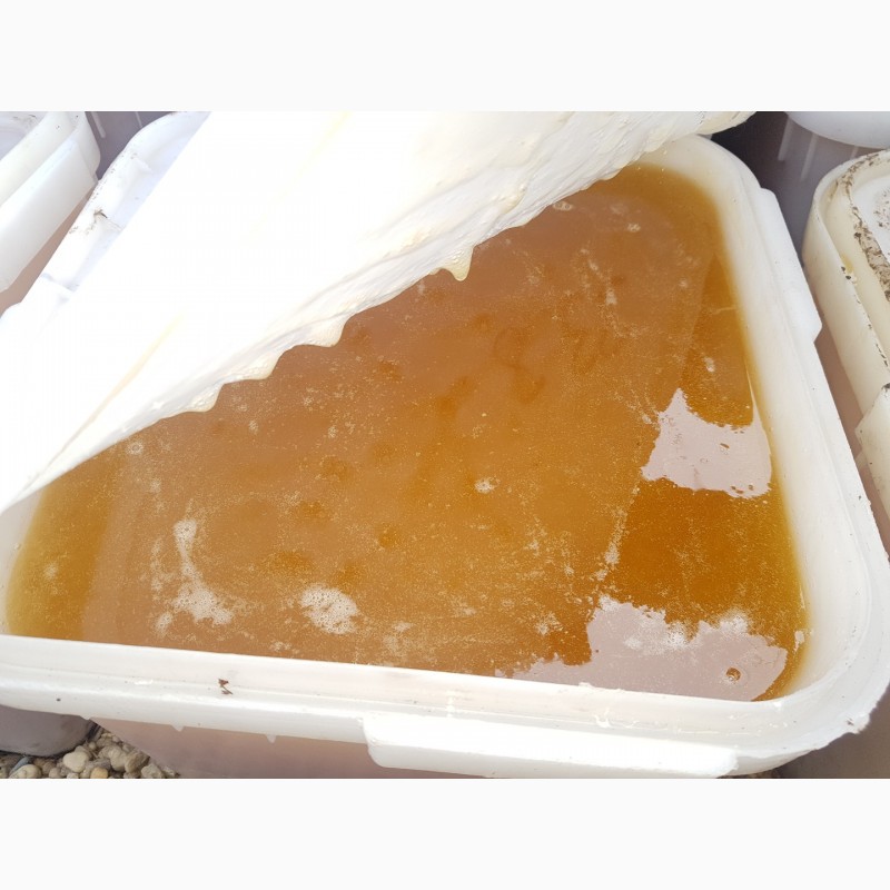 Фото 2. Натуральный мёд оптом от 35 кг