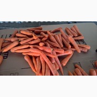 Морковь импортная