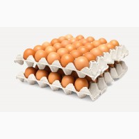 Яйца куриные инкубационные